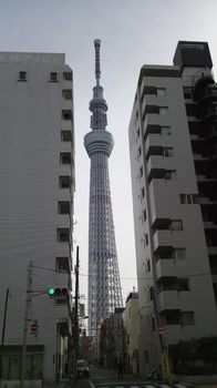 20130106 東京ｽｶｲﾂﾘｰ1.JPG