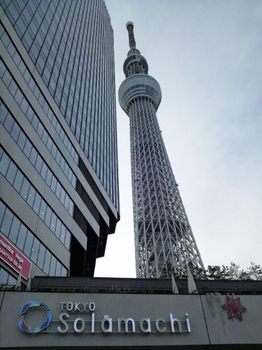 20130106 東京ｽｶｲﾂﾘｰ10.JPG