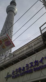 20130106 東京ｽｶｲﾂﾘｰ6.JPG