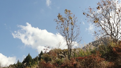 20131117 袋田の滝2.JPG