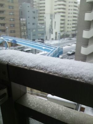 20140208 東京の雪1.JPG