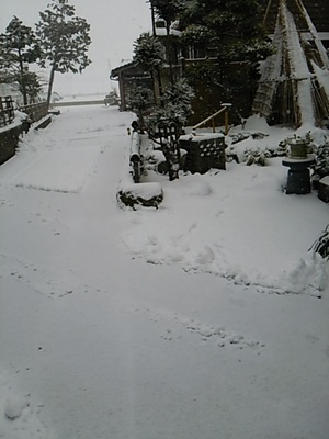 20150102 雪.JPG
