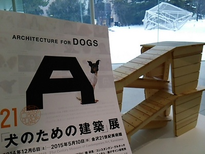 20150210 犬のための建築展.JPG