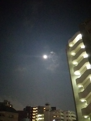 20150731 Blue Moon.JPG