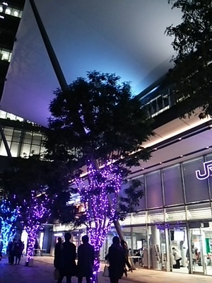 20151216 東京駅ｲﾙﾐ4.JPG