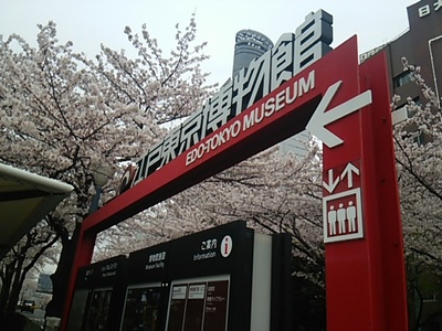 20160402 桜＠江戸東京博物館.JPG