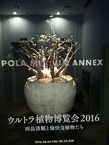 20160901 ウルトラ植物博覧会2.JPG