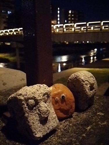 20170617 梅の橋1.JPG