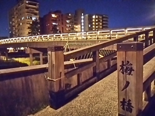 20170617 梅の橋2.JPG