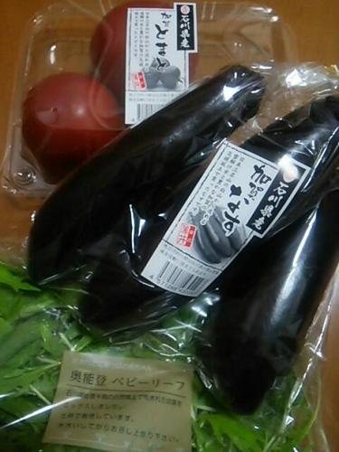 20170930 石川県産野菜.jpg