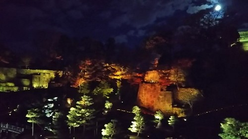 20171202 玉泉院丸庭園ライトアップ1.jpg