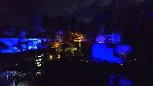 20171202 玉泉院丸庭園ライトアップ3.jpg
