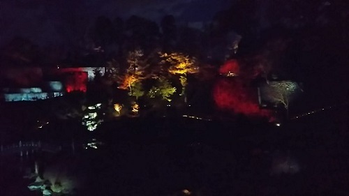 20171202 玉泉院丸庭園ライトアップ5.jpg