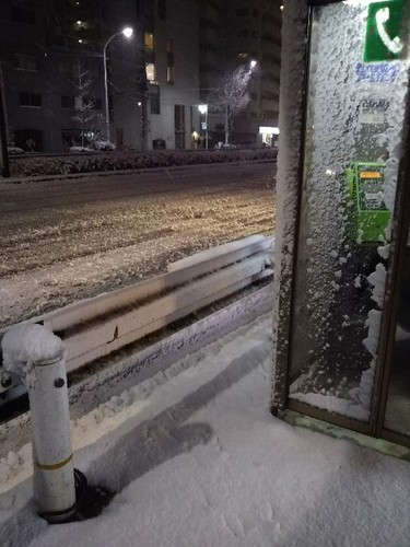 20180122 東京に積雪.jpg