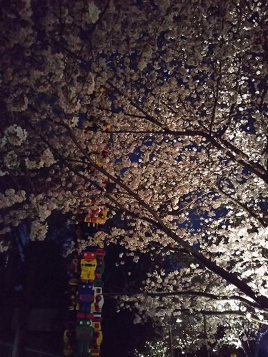 20180328 六本木ヒルズさくら公園の夜桜2.jpg