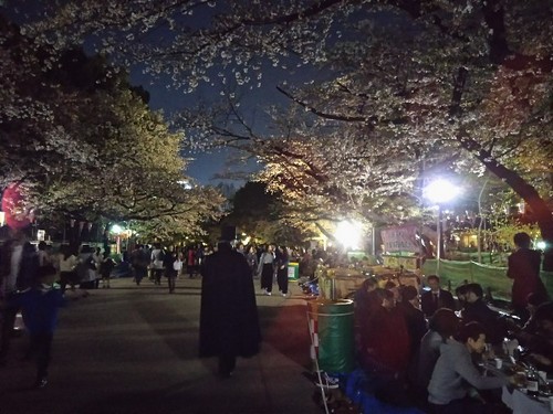 20180330 上野公園の夜桜4.jpg
