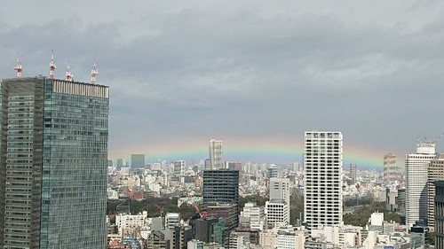 20190311 大きな虹.jpg