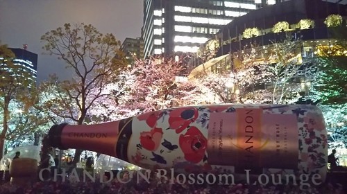 20190329 桜ライトアップ＠東京ミッドタウン1.jpg
