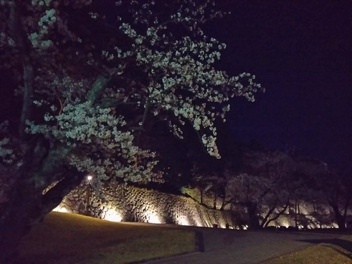 20200402 金沢城公園石垣ライトアップ.jpg